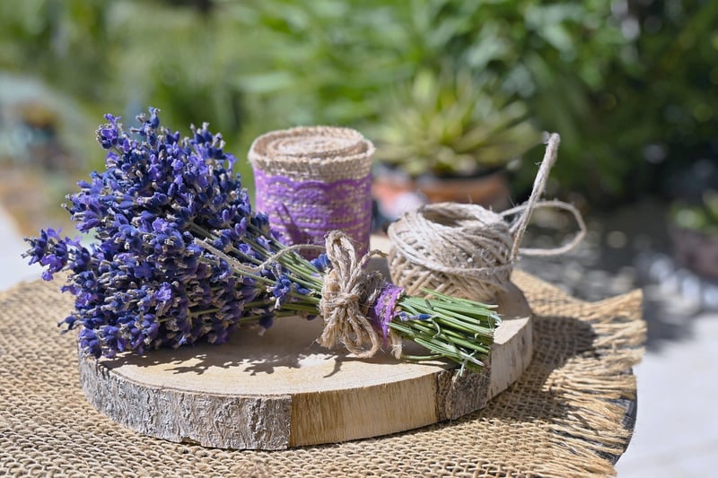 Natural Material Projects