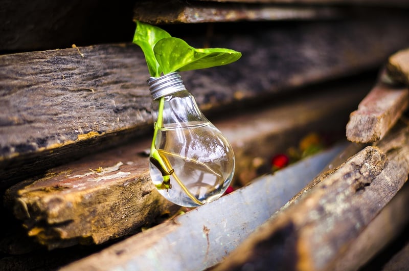 Upcycled Garden Projects