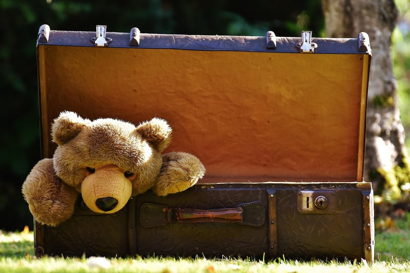 Retro suitcase shelves