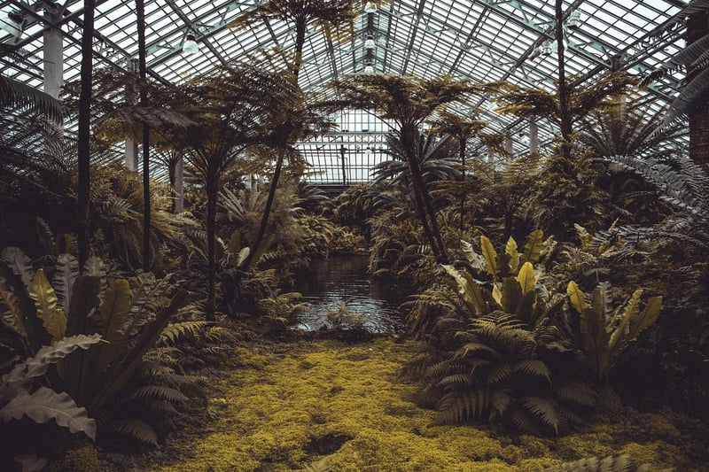 Terrarium Garden